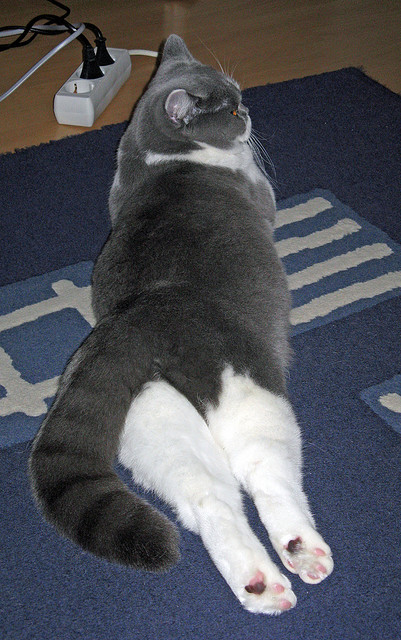 绿茵神偷,欧文如何用十秒钟定义欧冠之夜