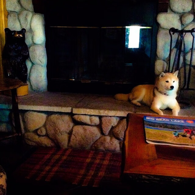 战术革命！哥伦比亚3-0挪威背后的隐形引擎，卡马文加如何重写中场规则